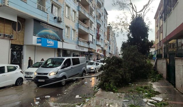 Şanlıurfa'da fırtınanın verdiği hasar gün aydınlanınca ortaya çıktı