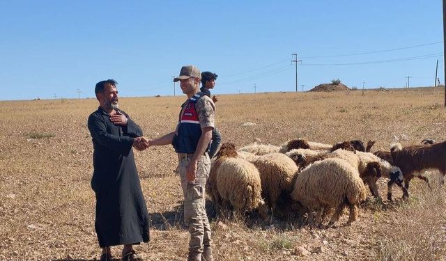 Şanlıurfa'da kaybolan küçükbaş hayvanlar dronla bulundu