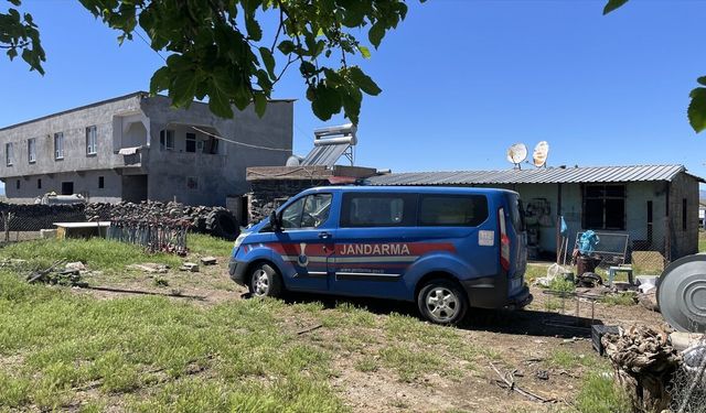 Şanlıurfa'da yılanı vurmak isteyen kişi 5 kişiyi yaraladı