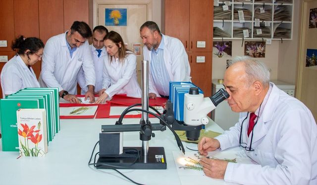 Selçuk Üniversitesi akademisyenleri 4 yeni bitki türü keşfetti