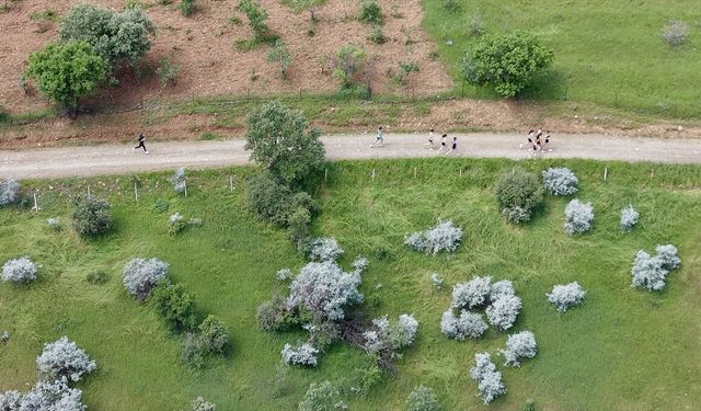 Siirt'te dağ koşuları milli takım seçmeleri yapıldı