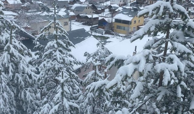 Sivas'ta çam ağaçlarıyla kaplı Eğriçimen Yaylası'na mayısta kar yağdı