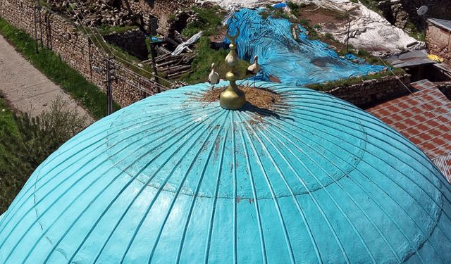 Sivas'ta cami kubbesine yuva yapan leylekler dronla görüntülendi