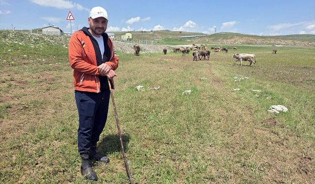 Sivas'ta çobanların suyla kaplanan meralarda zorlu mesaisi sürüyor