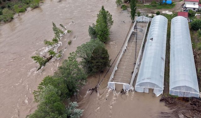 Sivas'ta Kelkit Nehri'nin taşmasıyla Akçağıl Köprüsü ve bazı seralar su altında kaldı