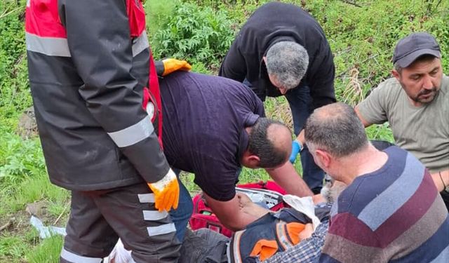 Sivas'ta mantar toplarken ayının saldırısına uğrayan kişi yaralandı