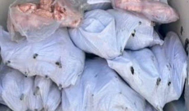 Tekirdağ'da 1500 kilogram iç yağ ve 140 kokoreç imha edildi