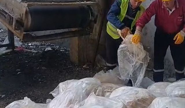 Tekirdağ'da ele geçirilen 1200 kilogram sağlıksız sakatat imha edildi