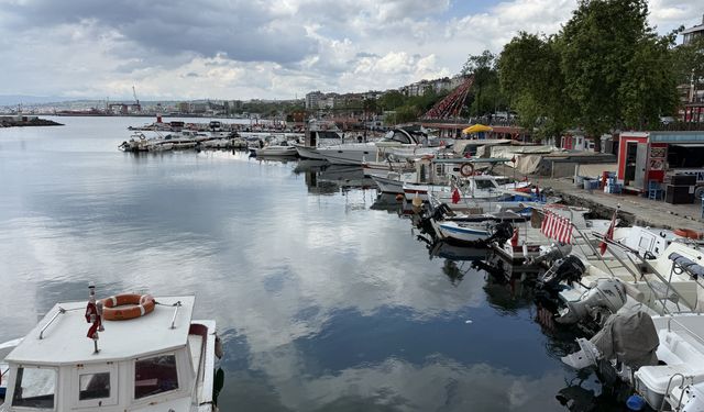 Tekirdağ'da küçük teknelerle avlanan istavrit tezgahların gözdesi