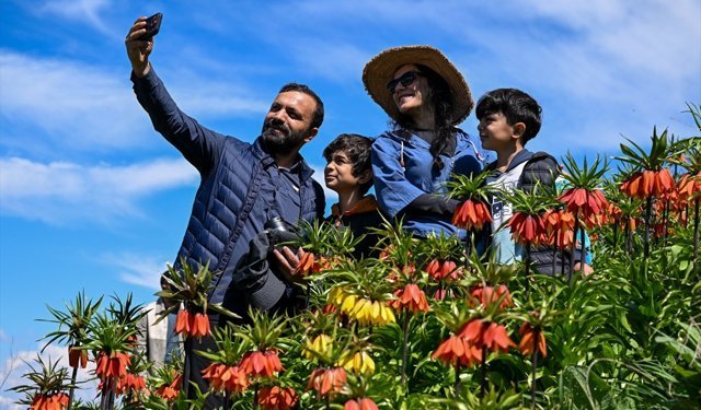 Ters laleler etkileyici güzellikleriyle ilgi odağı oldu