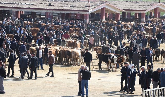 Türkiye'nin önemli hayvancılık merkezlerinden Ağrı'daki borsada Kurban Bayramı öncesi hareketlilik arttı