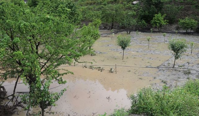 TZOB Genel Başkanı Bayraktar, Amasya'da taşkında zarar gören tarım arazilerinde incelemede bulundu