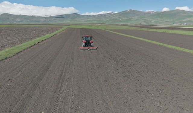 Uzun kışın ardından havaların ısındığı Ardahan'da tarlalarda ekim hareketliliği