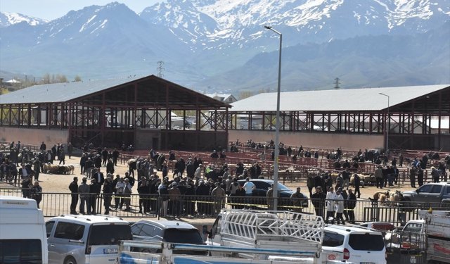 Van'da hayvan pazarında çıkan kavgada 1 kişi öldü, 13 kişi yaralandı