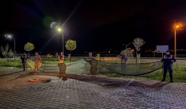 Van'da kaçak avlanan 1,5 ton inci kefali suya geri bırakıldı