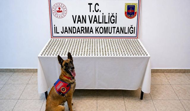 Van'da, midelerinde 3 kilo 374 gram esrar ele geçirilen 8 yabancı uyruklu yakalandı