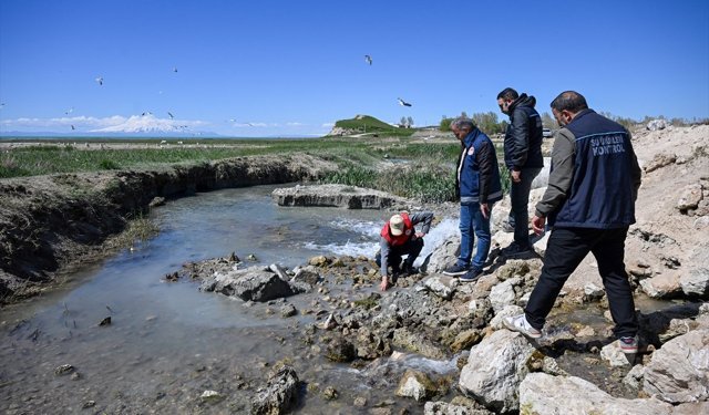 Van'da üreme dönemindeki inci kefalinin korunması için denetimler sürüyor