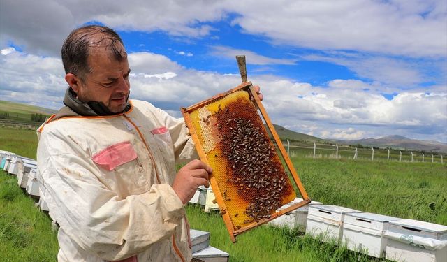 Vanlı ziraat mühendisi eğitimini arıcılıkta üretime dönüştürdü