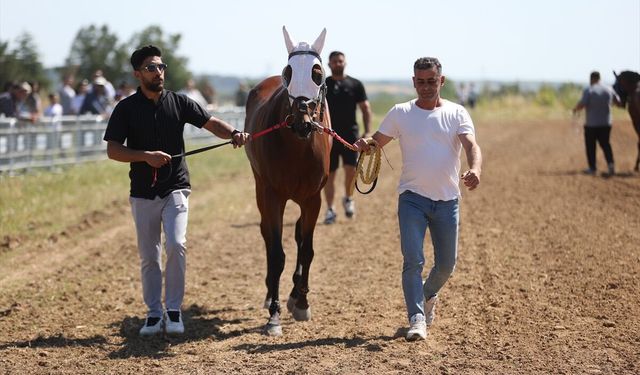Yağlı güreş organizasyonunda 'at yarışı' etkinliği