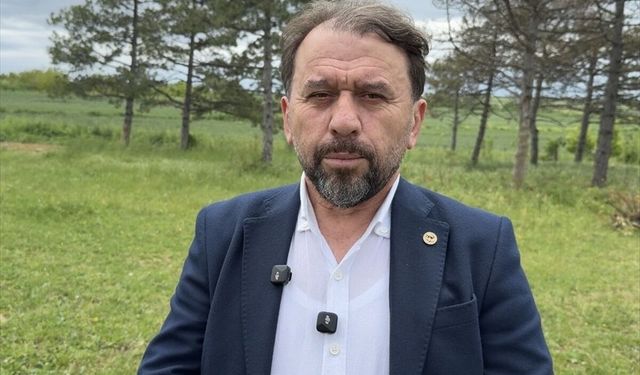 Yerli ayçiçeği tohumu pazar payını yüzde 15'e çıkardı