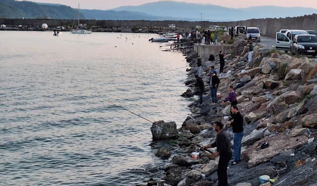 Zonguldak'ta olta balıkçıları bol miktarda istavrit avladı