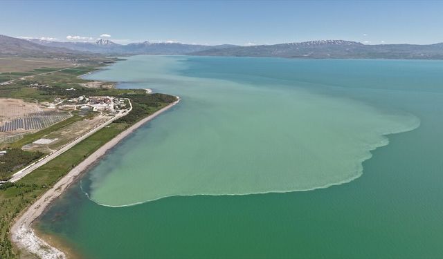 Akarsular Van Gölü kıyısının rengini değiştirdi