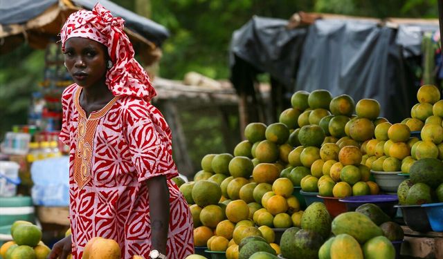 Batı Afrika'nın yükselen ekonomisi: Fildişi Sahili