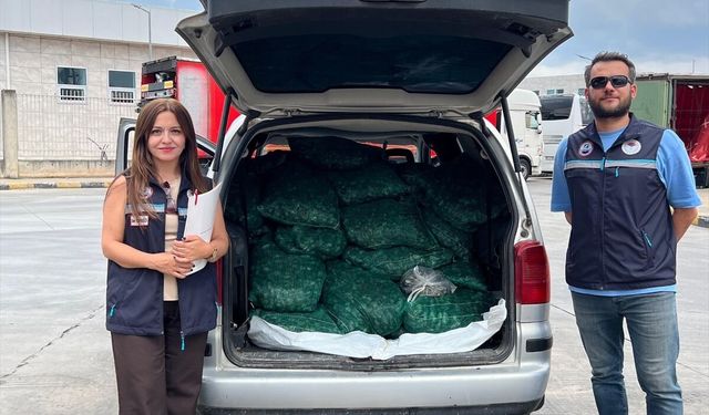 Kapıkule'de 840 kilogram kum midyesi ele geçirildi