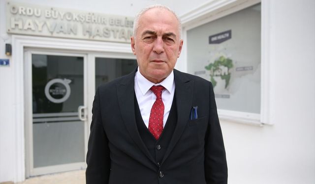 Ordu'da 7 yılda yaklaşık 25 bin sahipsiz hayvanın tedavisi ve bakımı yapıldı