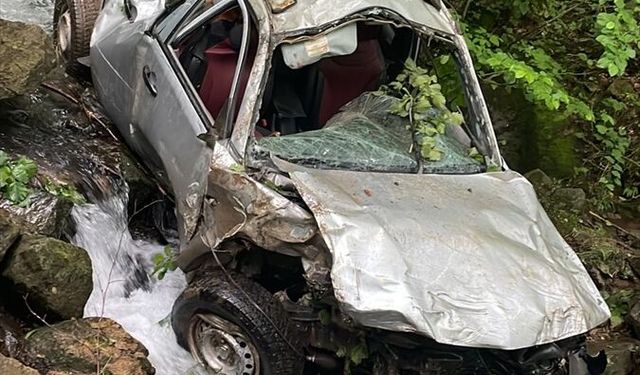 Ordu'da dereye yuvarlanan kamyonetteki 1 kişi öldü, 1 kişi yaralandı