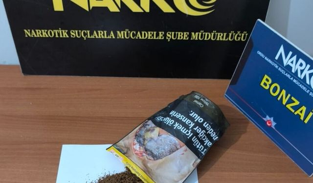 Ordu'da uyuşturucu operasyonunda 7 şüpheli gözaltına alındı