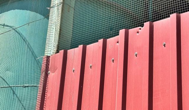 Samsun'da silahlı saldırı sonucu tesiste kimyasal sızıntıya neden olan zanlıya adli kontrol