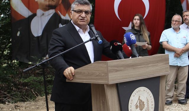 Sinop'ta kurulan bal ormanı arıcıların hizmetine sunuldu