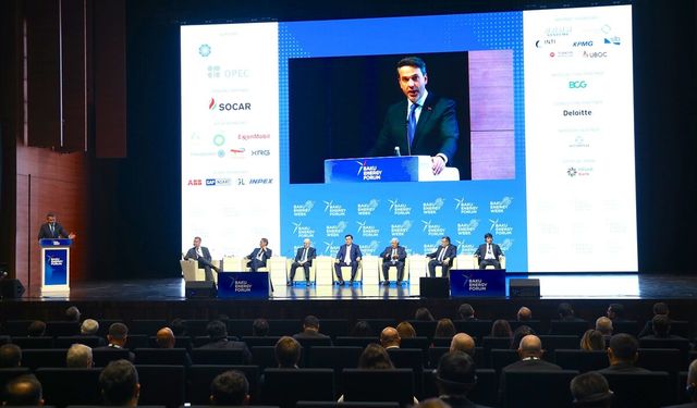 Türkiye, yenilenebilir enerjideki deneyimini paylaşmaya hazır