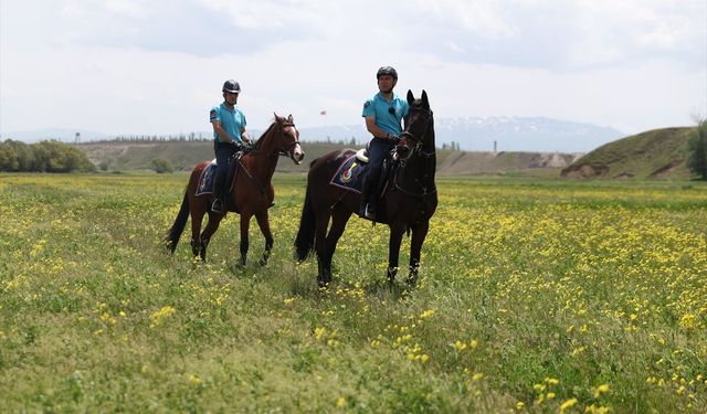 Van Gölü'nün 'incilerini' koruyan atlı jandarma timi ziyaretçilerin ilgi odağı oldu