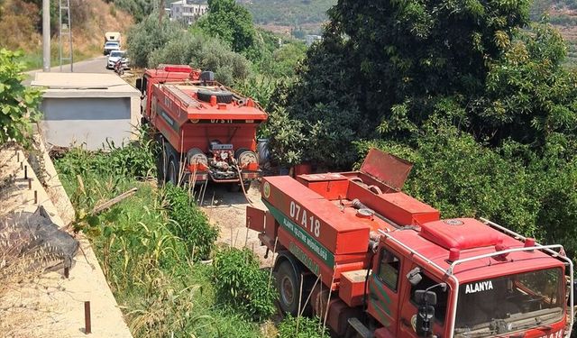 Alanya'da tarım alanında çıkan yangın söndürüldü