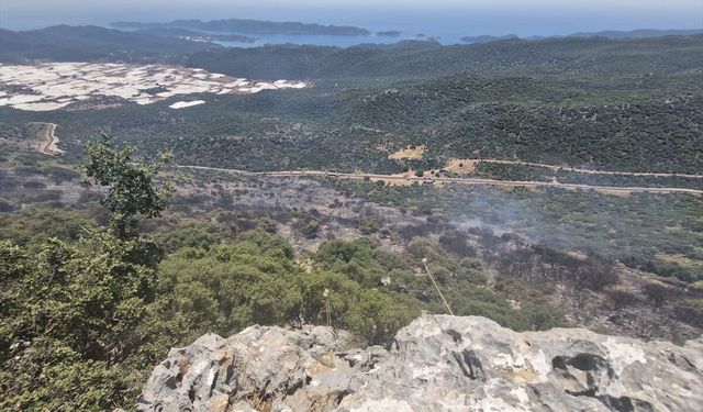 Antalya'da makilik alanda çıkan yangına müdahale ediliyor