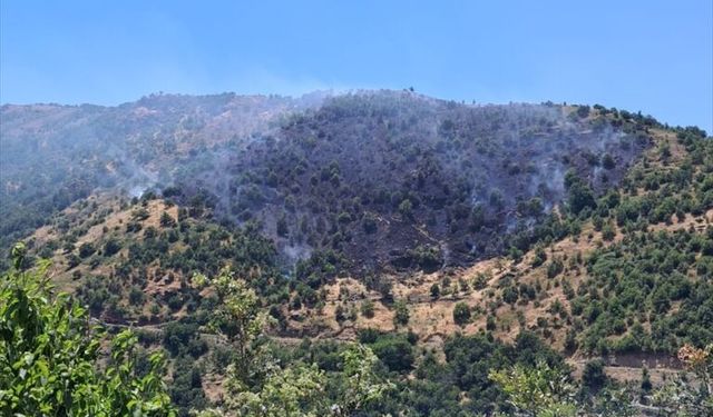 Aydın'da zirai alanda çıkan yangın söndürüldü