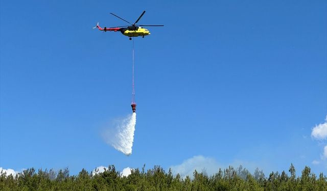 Balıkesir'de çıkan orman yangınına müdahale ediliyor