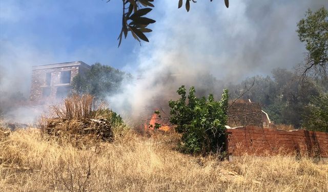 Bodrum'da çıkan orman yangını söndürüldü