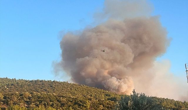 GÜNCELLEME - Milas'ta ormanlık alanda çıkan yangına müdahale ediliyor