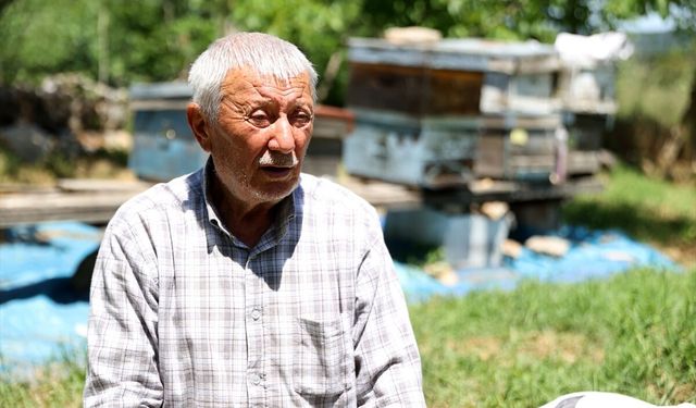 İstanbul'dan köyüne dönüp huzuru doğada buldu