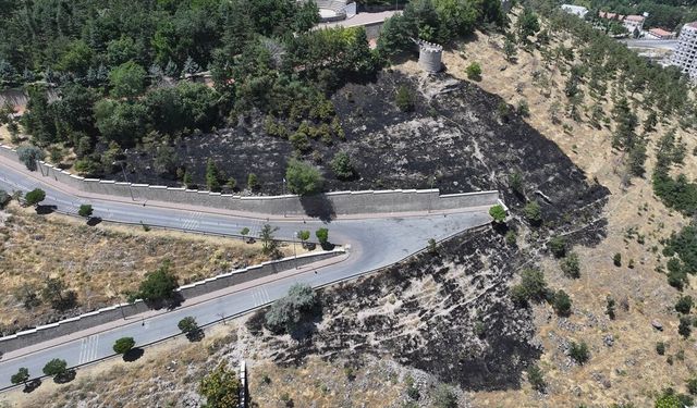 Kayseri'de otluk alanda çıkan yangın söndürüldü