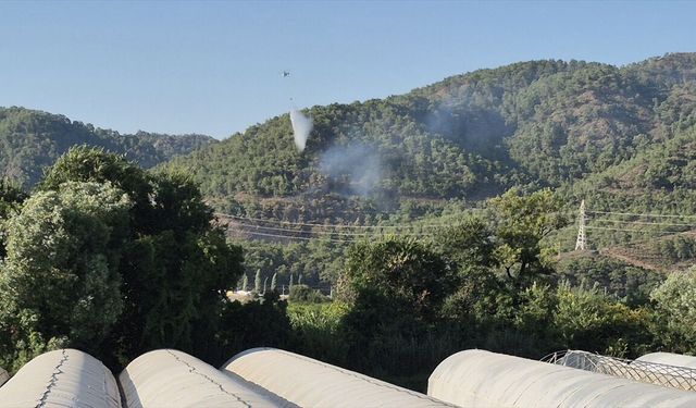 Ortaca'da ormanlık alanda çıkan yangın kontrol altına alındı