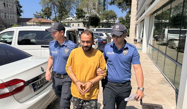 Samsun'da kediye tekme atan şüpheli tutuklandı