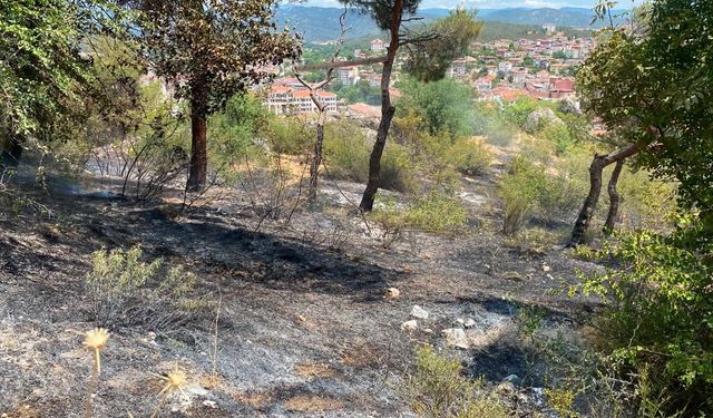 Sinop'ta Boyabat Kalesi eteklerinde çıkan örtü yangını söndürüldü