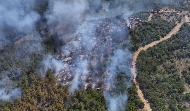 Tekirdağ'da anızda başlayıp ormana sıçrayan yangın söndürüldü