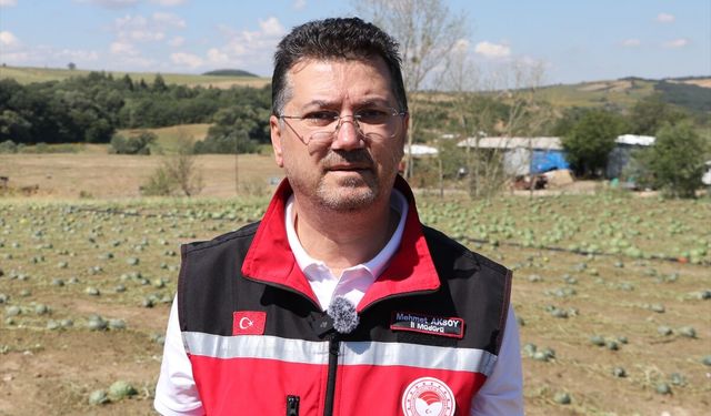 Tekirdağ'da etkili olan doludan 35 bin dekar tarım alanı zarar gördü
