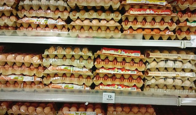 İngiltere’de salmonella salgınında bir kişi öldü