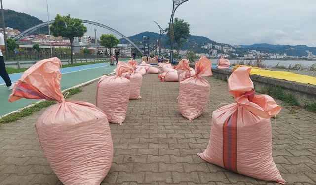 Fındıklar sahile serildi: Karadeniz’de hasat sonrası mesai